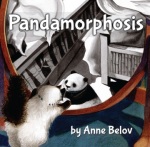 pandamorphosis cover